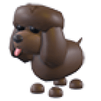 Irish Water Spaniel  - Ultra-Rare from UGC Rewards